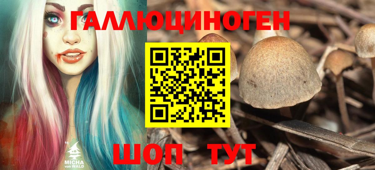 Псилоцибиновые грибы MAGIC MUSHROOMS  Вход с VPN  Псилоцибиновые грибы мухоморы  Вичуга 