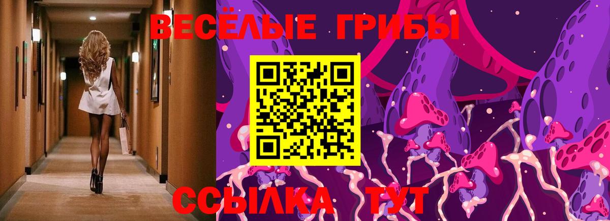 Псилоцибиновые грибы мицелий Вичуга
